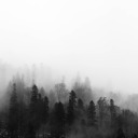 dangerousdelusionss avatar