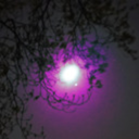 dangerouslydecadentlover-blog avatar