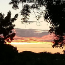 dangerouslyfoulsong avatar