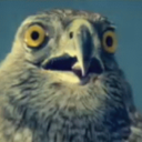 dangerouslyholydinosaur avatar