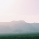 dangerouslymotivated avatar