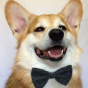 danialvesdasilva-blog avatar