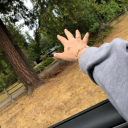 daniaraemelle avatar