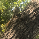 daniel-is-bae avatar