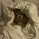 daniela-albornoz avatar