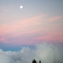 daniela-diesslin-blog-blog avatar