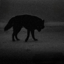 daniela-lecter avatar