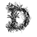 danieladecandia avatar