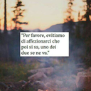 danielapoletti avatar