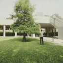 danielcortinas1125 avatar