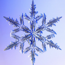 daniellepulice72 avatar