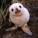 danielreadygo avatar