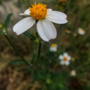 danii708-blog avatar