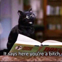 daniicampbell29 avatar