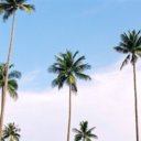 daniiducck-blog1 avatar