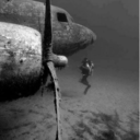 danilolimafan avatar