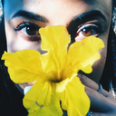 danisantos714 avatar