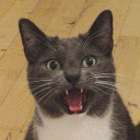 danish-lesbian avatar