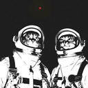 dankey-kangdk avatar