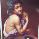 dankmemeaxolotl avatar