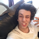 dankondeck710 avatar