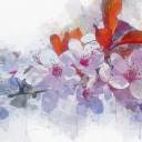 danmei-action avatar