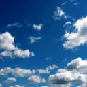 dannibannani06 avatar