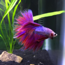 danny1592-blog avatar