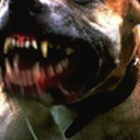 dannyfuckingrose avatar