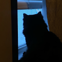 dannyricbitch avatar