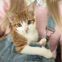 dannys-phanny6 avatar