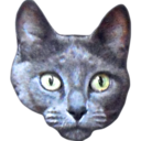 dans-ma-stereo avatar