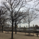 danslesbrasdemorphee avatar