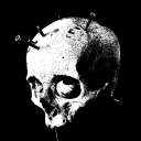 dansmiddleleftwhisker avatar