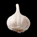 dante-doofenschmirtz avatar