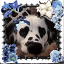 danteysparadise avatar