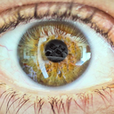 danwarnerplanet avatar