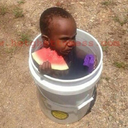 dapictureman-blog avatar