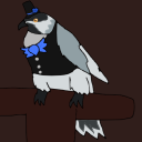 dapperchickadee avatar
