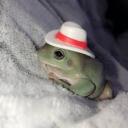 dapperfrog avatar