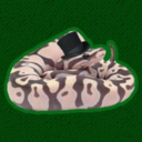 dappersnakes avatar