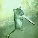 darakogban avatar