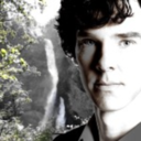 darjeeling45190-blog avatar