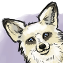 dark-and-endless-sky avatar