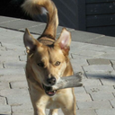 dark-asmy-pastelpink-soul avatar