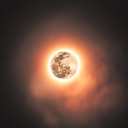 dark-delicate avatar