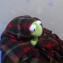 dark-destiny-collector avatar