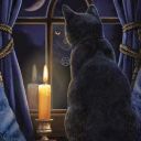 dark-dreams13 avatar