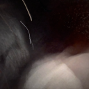 dark-lighting444 avatar