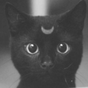 dark-nightmoon-blog avatar